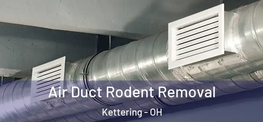  Air Duct Rodent Removal Kettering - OH