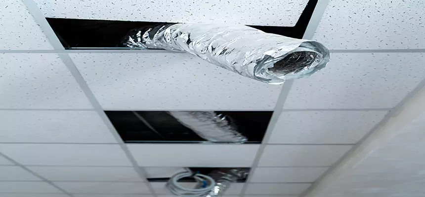 Our Air Duct Pet Hair Removal Services in Kettering, OH