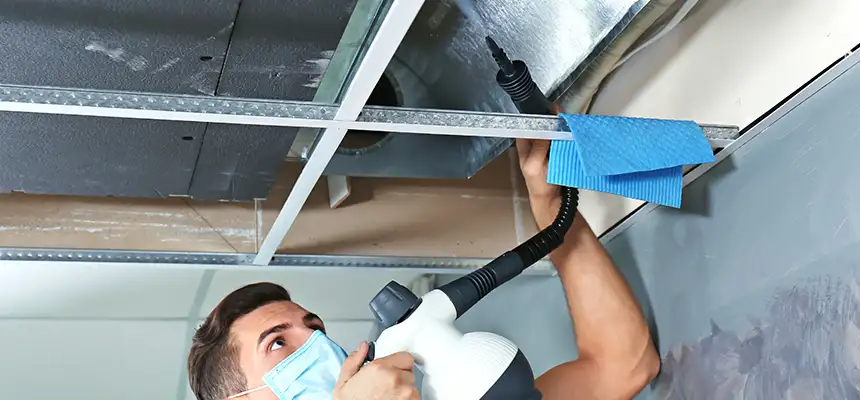 Our Air Duct Rodent Removal Services in Kettering, OH