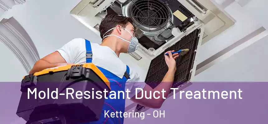  Mold-Resistant Duct Treatment Kettering - OH